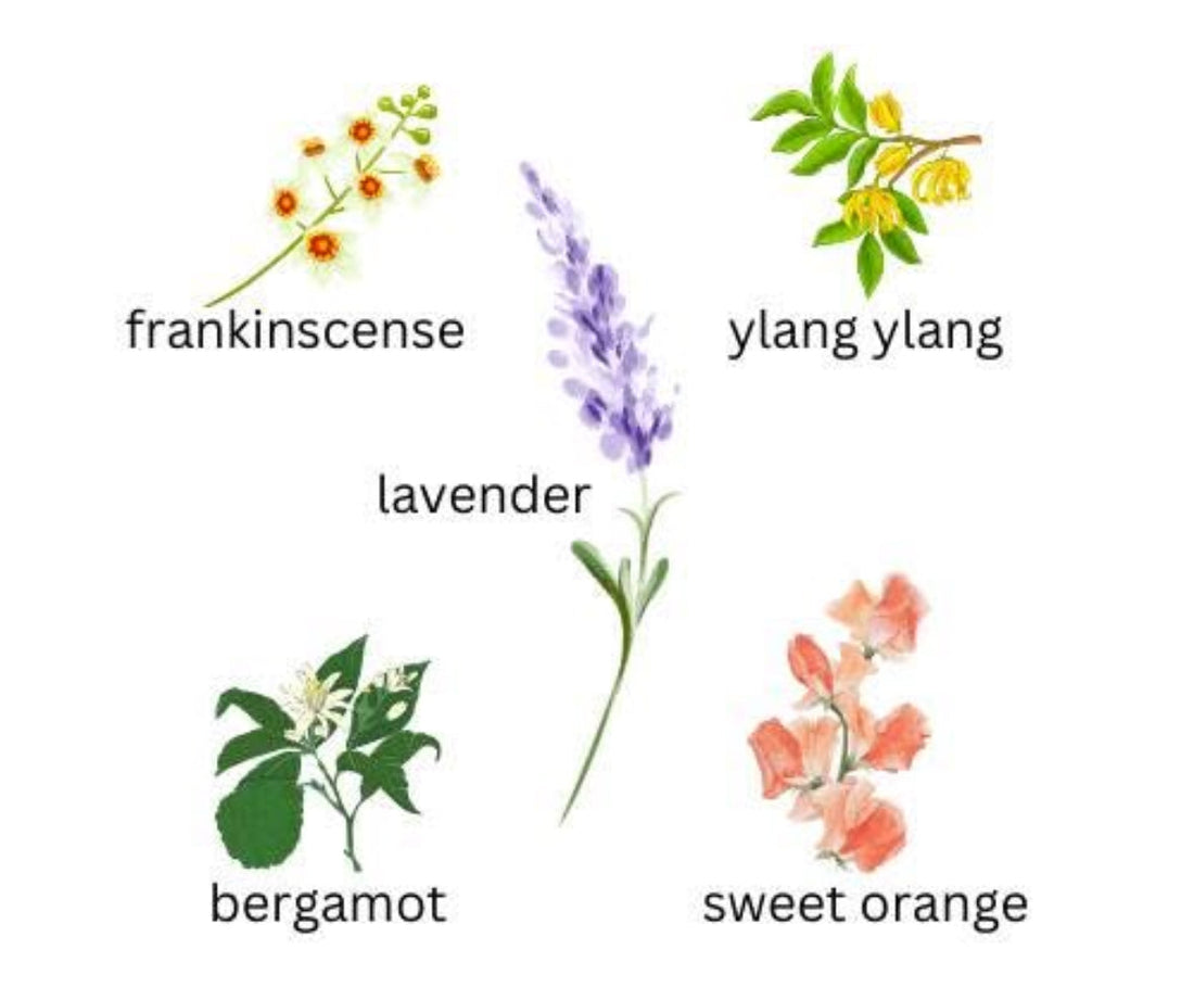Essential oils to help with anxiety and worry during Cyclone Alfred