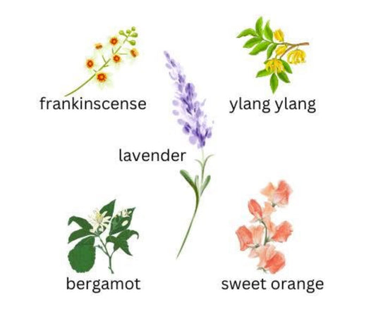 Essential oils to help with anxiety and worry during Cyclone Alfred