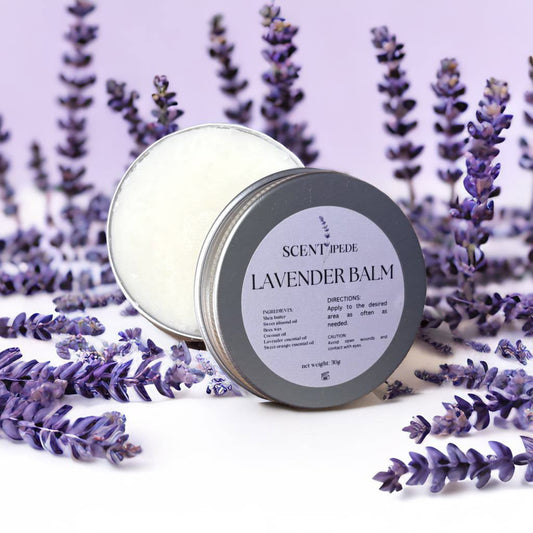 The beauty of Lavender