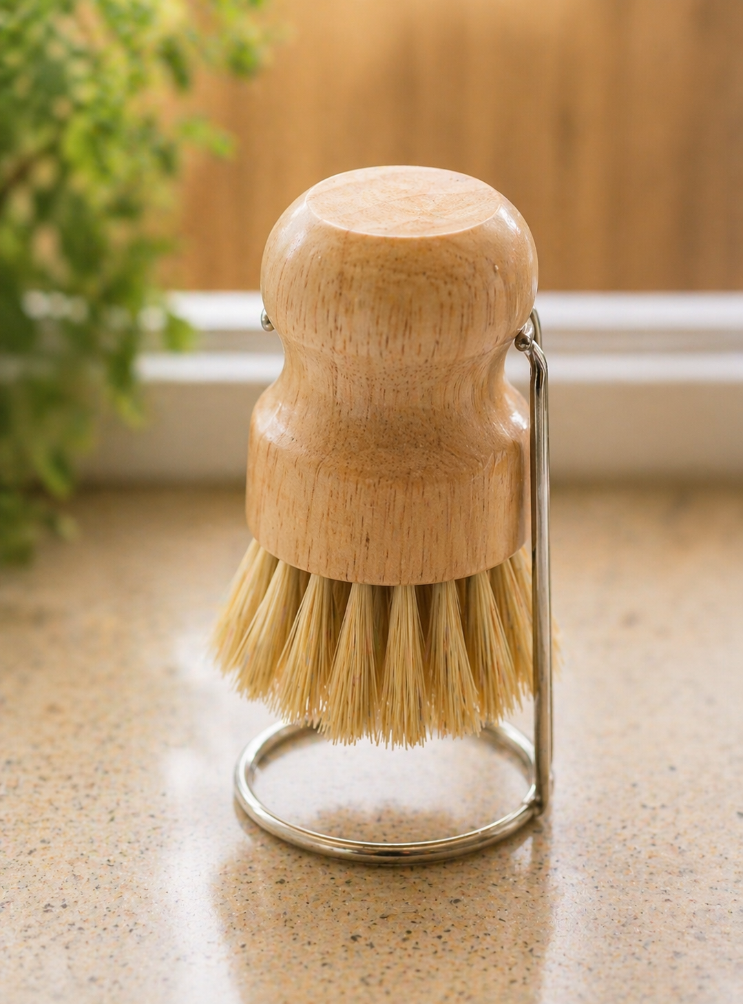 Dish Brush